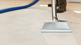 Carpet cleaning wand head gliding over a light carpet during hot-water extraction, Chula Vista, CA.