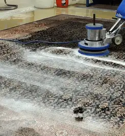 Professional rug cleaning with a rotary floor machine and shampoo foam, deep-cleaning an area rug Chula Vista, CA.